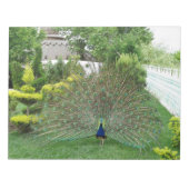 Bloc-notes photo Peacock (Devant)