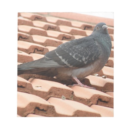 Bloc-notes Pigeon sur le toit (Devant)