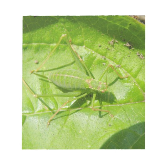 Bloc-notes pour camouflage vert de cricket (Devant)