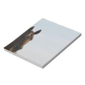 Bloc-notes pour chevaux (Tourné)