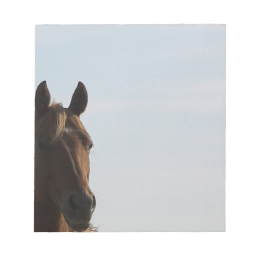 Bloc-notes pour chevaux (Devant)