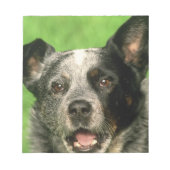 Bloc-notes pour chien de bétail australien (Devant)
