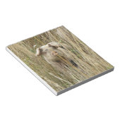 Bloc-notes pour cochon mignon (Incliné)