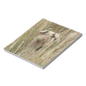 Bloc-notes pour cochon mignon (Tourné)