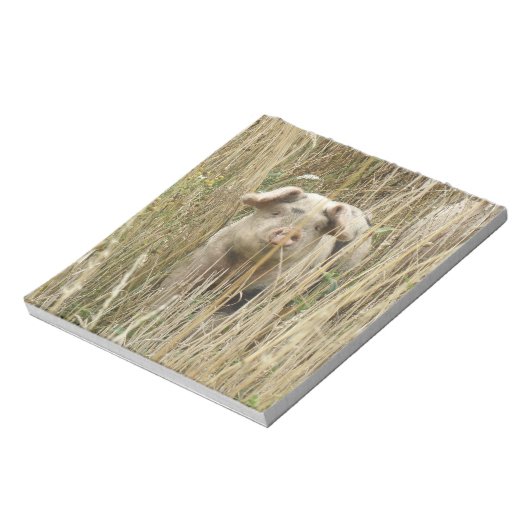 Bloc-notes pour cochon mignon (Tourné)