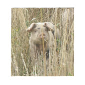 Bloc-notes pour cochon mignon (Devant)