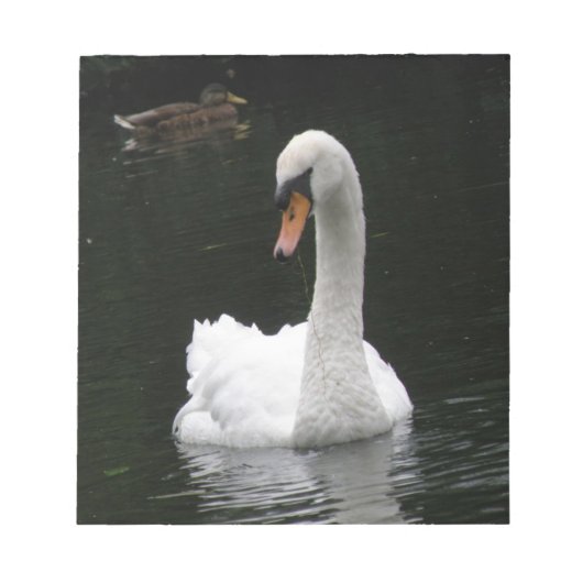 Bloc-notes pour cygne blanc (Devant)