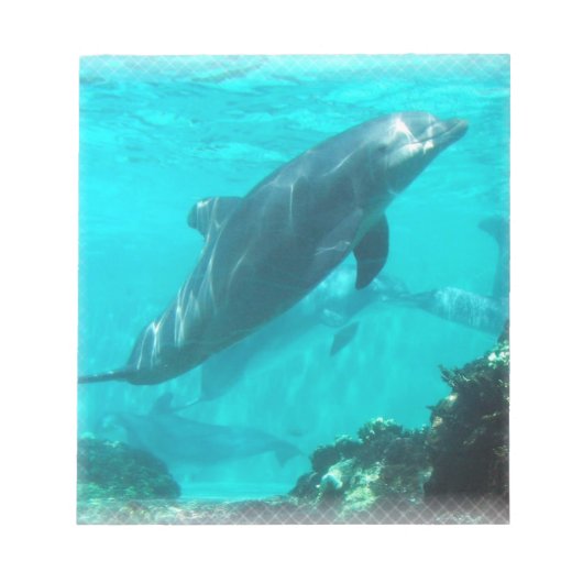 Bloc-notes pour dauphins de natation (Devant)