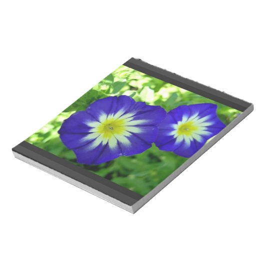 Bloc-notes pour fleur de matin (Tourné)