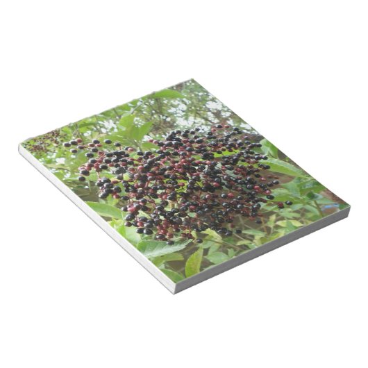 Bloc-notes pour la maturation des ailes (Incliné)