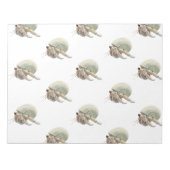 Bloc-notes pour le crabe ermite (Devant)