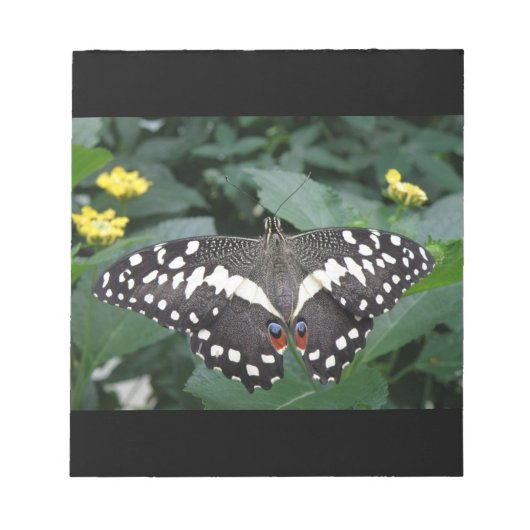 Bloc-notes pour le papillon et les fleurs de chaux (Devant)
