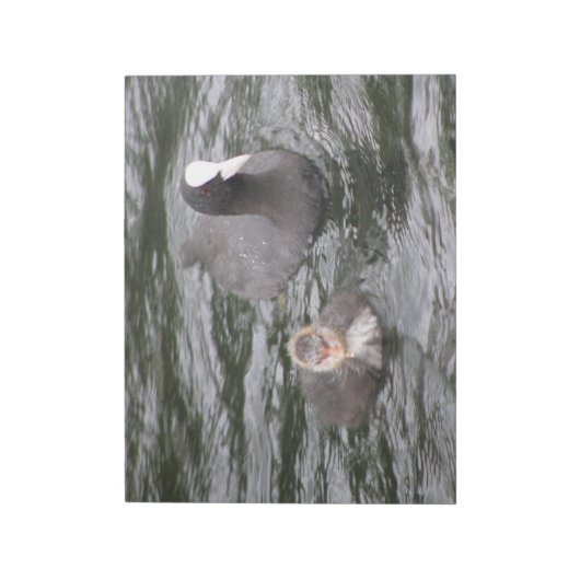 Bloc-notes pour le pied et le poussette (Tourné)