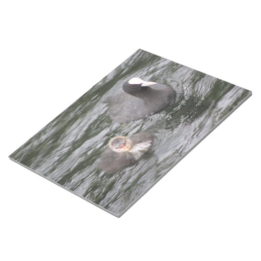 Bloc-notes pour le pied et le poussette (Incliné)