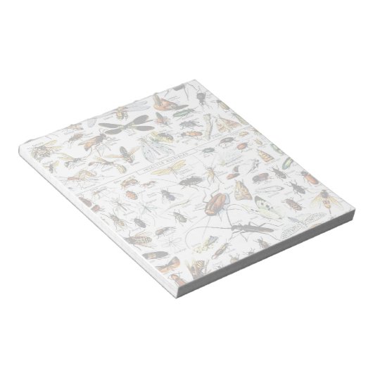 Bloc-notes pour les insectes d'Adolphe Millot (Incliné)