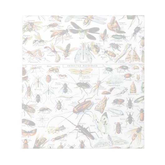 Bloc-notes pour les insectes d'Adolphe Millot (Devant)