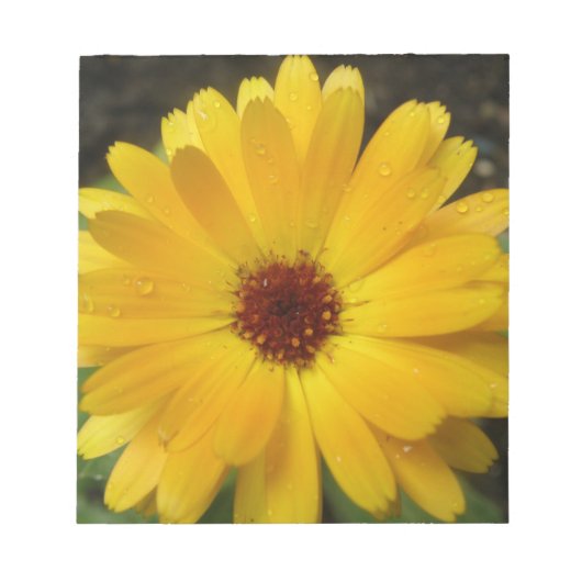 Bloc-notes pour Macro Marigold jaune (Devant)