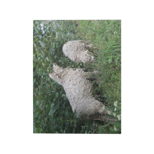 Bloc-notes pour manger des moutons mignons Feuille (Tourné)