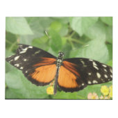 Bloc-notes pour papillon long tigre (Devant)