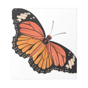 Bloc-notes pour papillon monographique