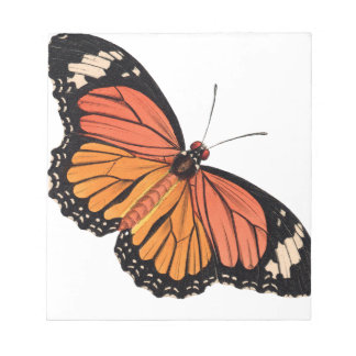 Bloc-notes pour papillon monographique