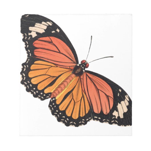 Bloc-notes pour papillon monographique (Devant)