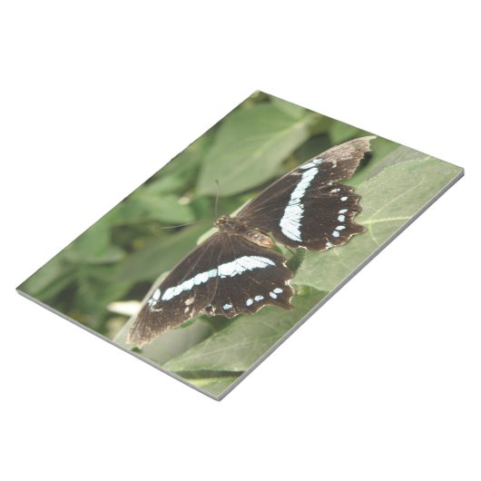 Bloc-notes pour papillon tropical noir et blanc (Incliné)