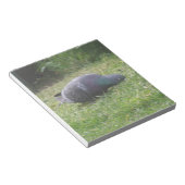 Bloc-notes pour pigeon dormant (Incliné)