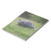 Bloc-notes pour pigeon dormant (Tourné)