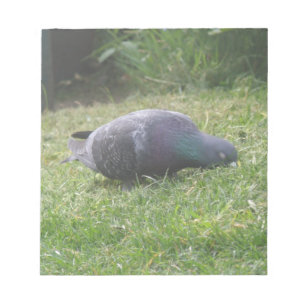 Bloc-notes pour pigeon dormant