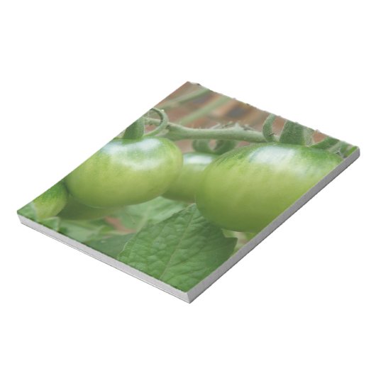Bloc-notes pour tomates vertes (Tourné)