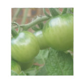 Bloc-notes pour tomates vertes (Devant)