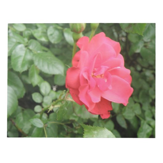 Bloc-notes Rose sauvage (Devant)