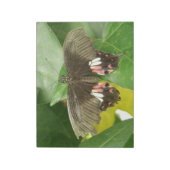 Bloc-notes Scarlet Swallowtail (Tourné)