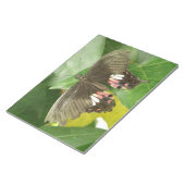 Bloc-notes Scarlet Swallowtail (Incliné)