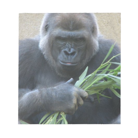 Bloc-notes Silverback Gorilla (Devant)