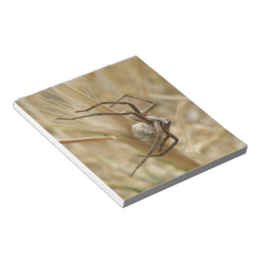 Bloc-notes Spider et Oeuf Sac (Incliné)