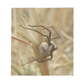 Bloc-notes Spider et Oeuf Sac (Devant)
