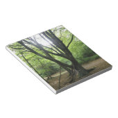 Bloc-notes Sunshine Woodland (Incliné)