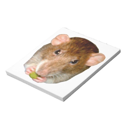 Bloc-notes sur le rat affamé (Tourné)