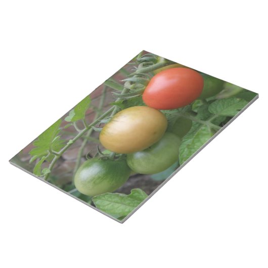 Bloc-notes sur les tomates légères (Incliné)