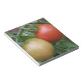 Bloc-notes tomates orange et rouge (Incliné)