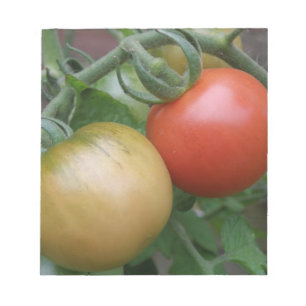 Bloc-notes tomates orange et rouge