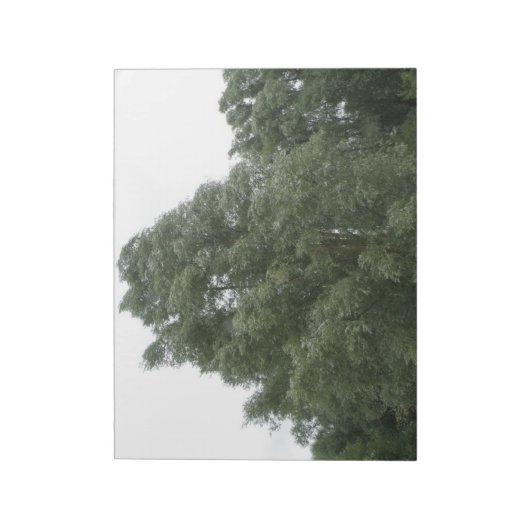 Bloc-notes Treetops (Tourné)