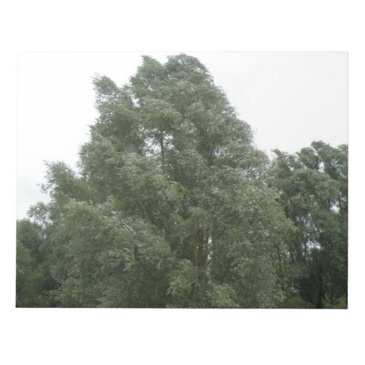 Bloc-notes Treetops (Devant)