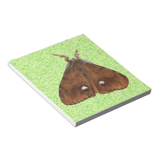 Bloc-notes Vapourer Moth (Incliné)