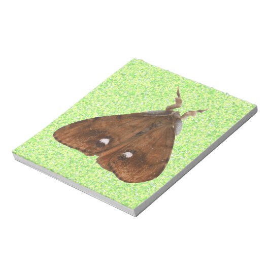 Bloc-notes Vapourer Moth (Tourné)