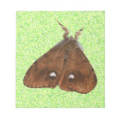 Bloc-notes Vapourer Moth (Devant)