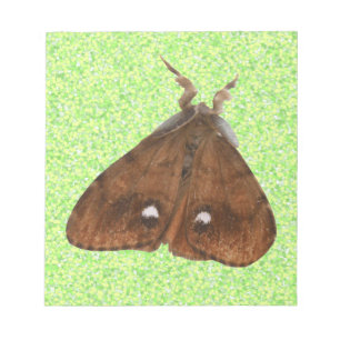 Bloc-notes Vapourer Moth