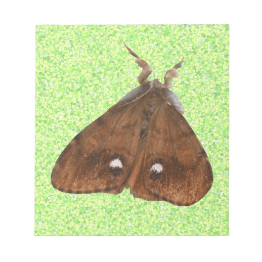 Bloc-notes Vapourer Moth (Devant)